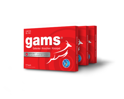 GAMS_DE_3D_3x